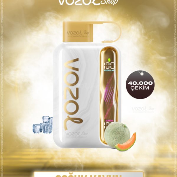 Vozol Star 40000 Melon Ice