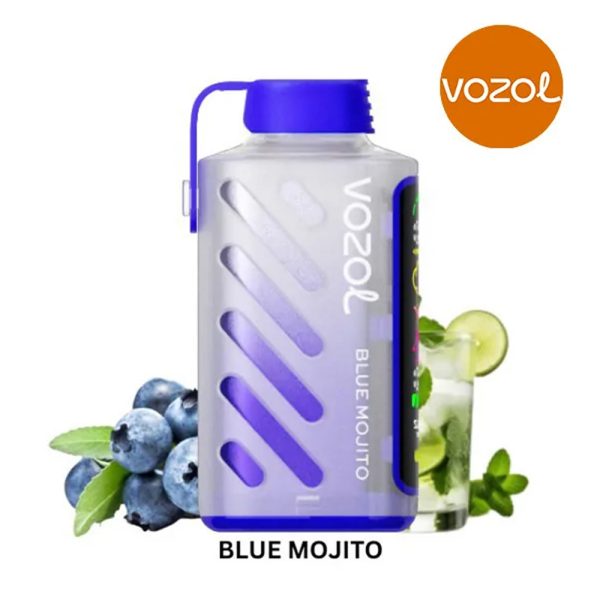 Vozol Gear Power 20000 Blue Mojito