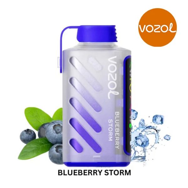 Vozol Gear Power 20000 Blueberry Storm
