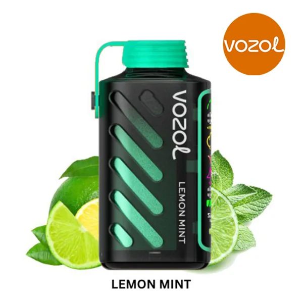 Vozol Gear Power 20000 Lemon Mint