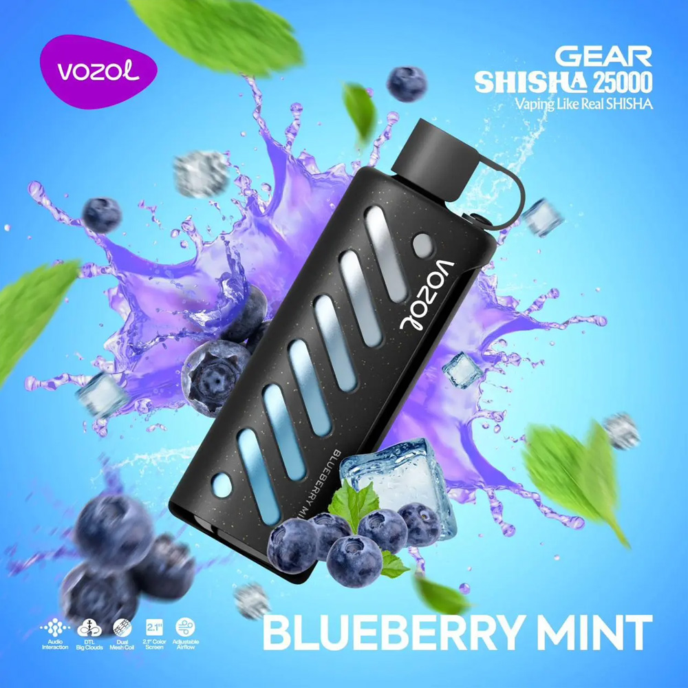 vozol-gear-shisha-25000-blueberry-mint