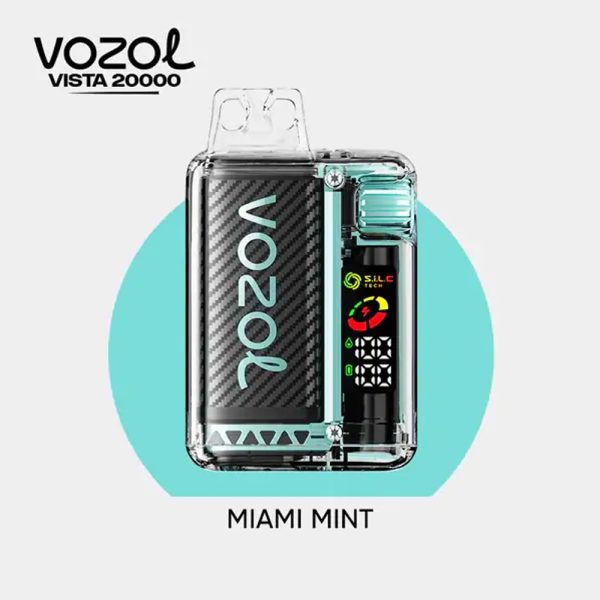 Vozol Vista 20000 Miami Mint